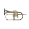 Flugelhorn or Tenor Sax - Image 2