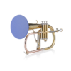 Flugelhorn or Tenor Sax