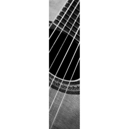 Acoustic Guitar