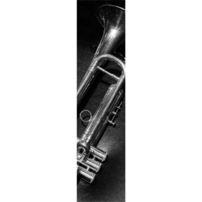 Trumpet